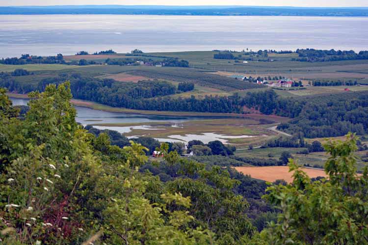 the lookoff